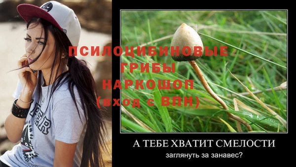 ешки Баксан
